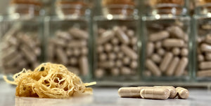 Supplements - Fortified 5